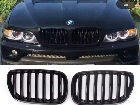 E53 FL radiatora reste